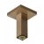 Brat de dus Hansgrohe E de tavan, 10cm, bronz periat