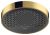 Palarie de dus Hansgrohe Rainfinity 250, 1 jet, gold optic lustruit
