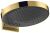 Palarie de dus Hansgrohe Rainfinity 360, 3 tipuri de jet, cu placa de conectare la perete, gold optic lustruit