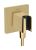 Accesoriu Hansgrohe FixFit E cu agatatoare de dus, gold optic lustruit