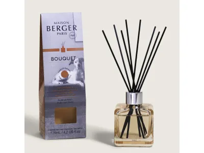 Difuzor parfum camera Maison Berger Ice Cube cu parfum Pet 100ml