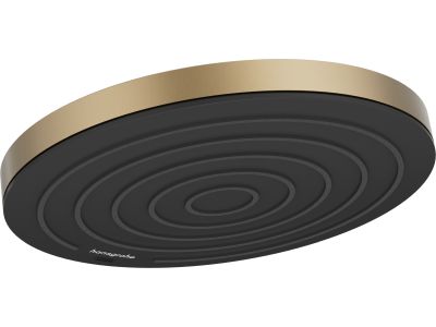 Palarie de dus Hansgrohe Pulsify S 260 EcoSmart cu 1 jet, bronz periat