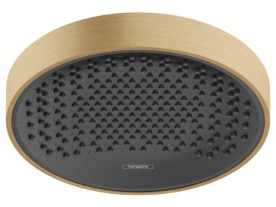Palarie de dus Hansgrohe Rainfinity 250, 1 jet, bronz periat