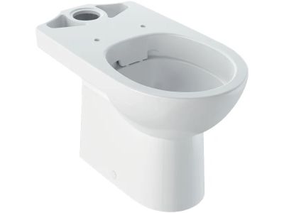 Vas wc pe pardoseala Geberit Selnova Rimfree, alb