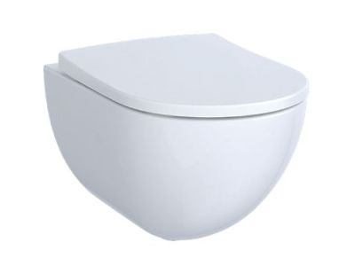 Set vas wc suspendat Geberit Acanto Rimfree cu capac inchidere lenta si Quick Release