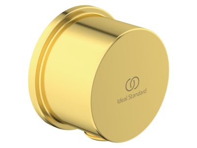 Conector FixFit Ideal Standard Ideal Rain Round, auriu periat