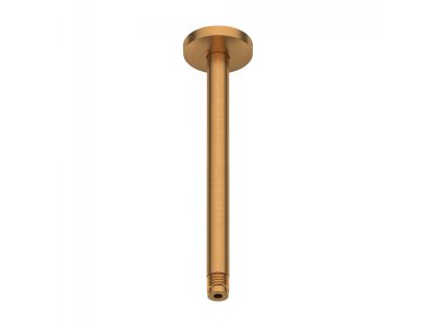 Brat de dus Duravit Shower Round 20cm, cu montaj in tavan, bronz periat