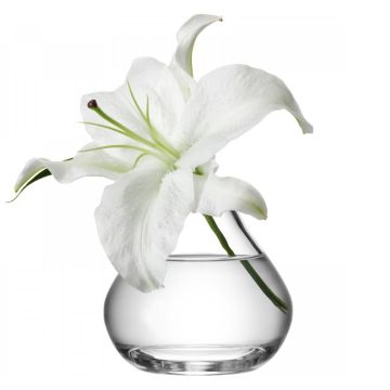 Vaza LSA International Flower Sprig h11cm
