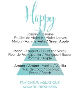 Difuzor parfum camera Maison Berger Aroma new Happy Fraicheur Aquatique 180ml