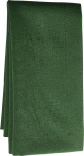 Servet Sander Basics Gala 40x40cm, protectie anti-pata, 2 Green