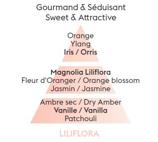 Rezerve ceramice odorizant masina Maison Berger Liliflora 2piese